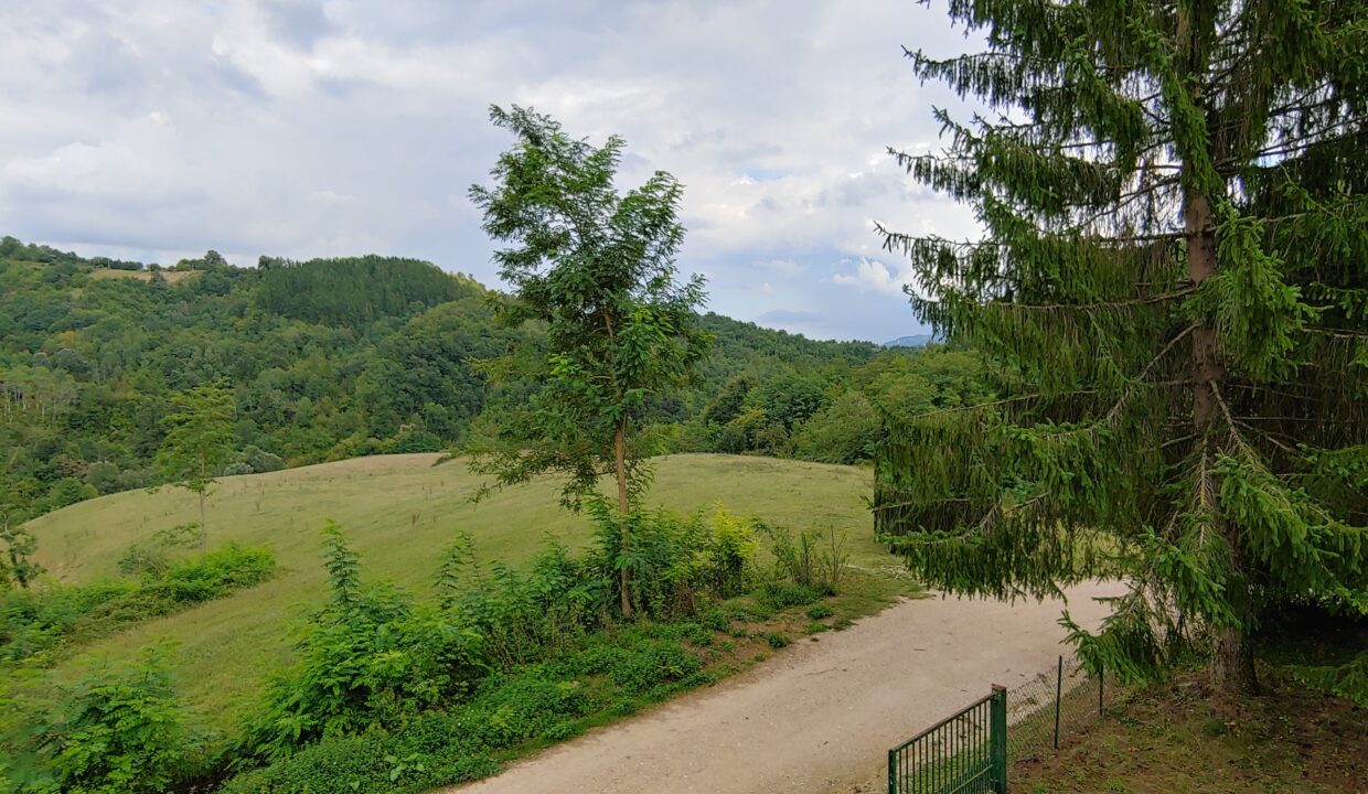 www.immobiliarecollinaloris.it-codice-795-6