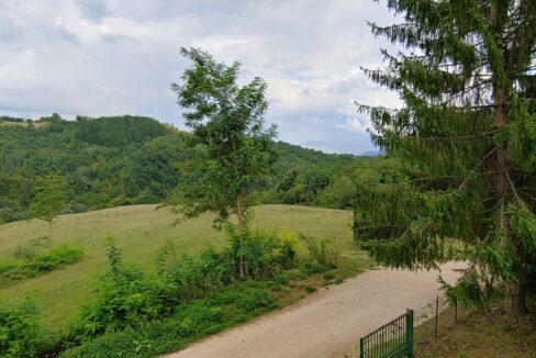 www.immobiliarecollinaloris.it-codice-795-6