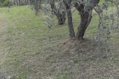 WhatsApp Image 2021-04-14 at 15.41.36