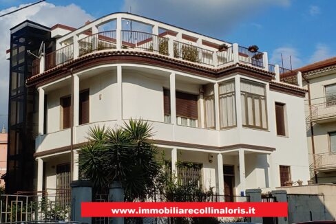 www.immobiliarecollinaloris.it-codice-800-1