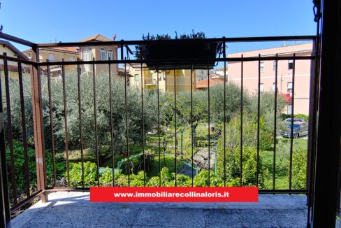 www.immobiliarecollinaloris.it-codice-800-26