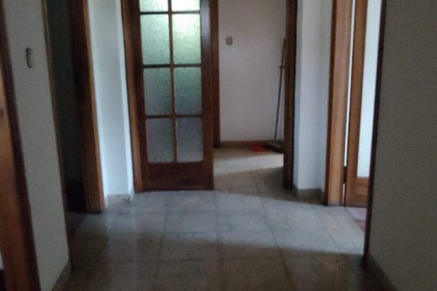 WhatsApp Image 2021-07-30 at 18.10.17 (1)