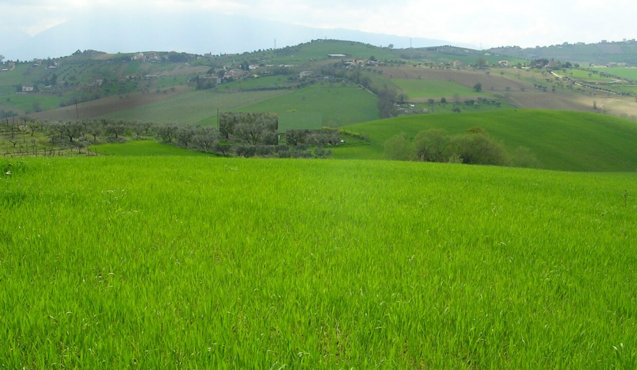 campagna 2