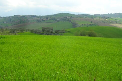 campagna 2