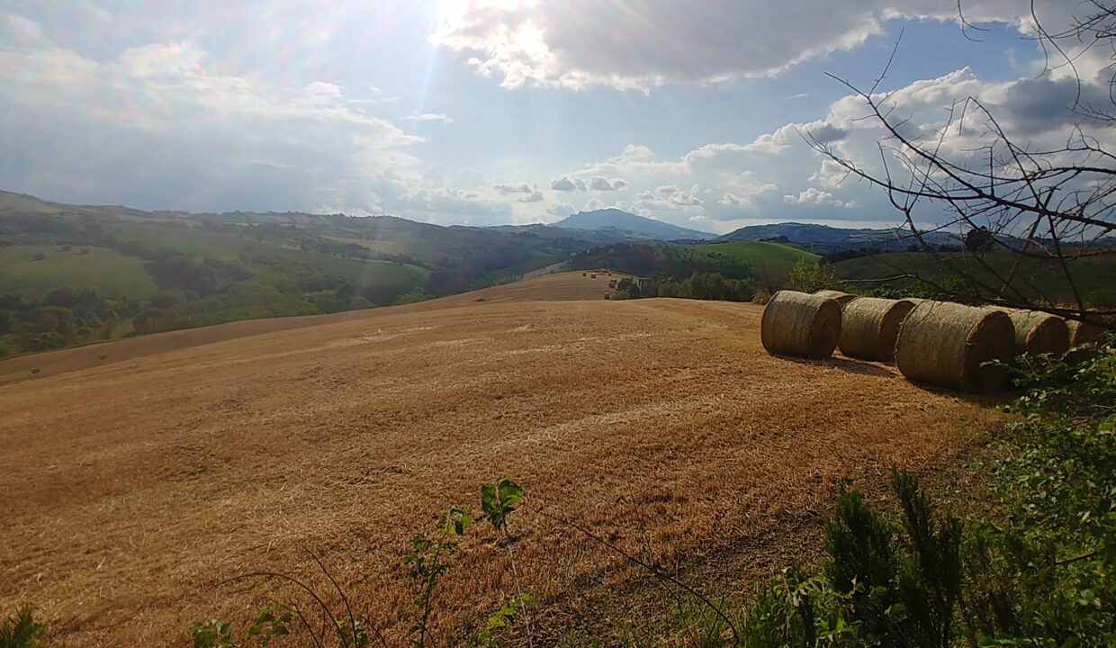 20200530_173212_HDR