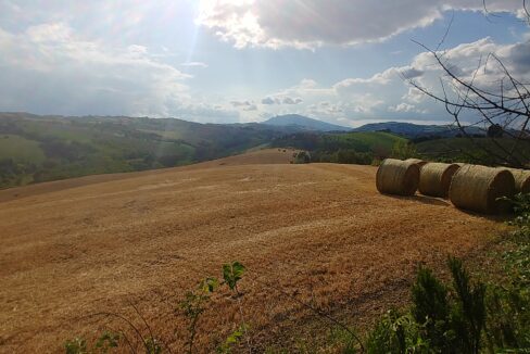 20200530_173212_HDR