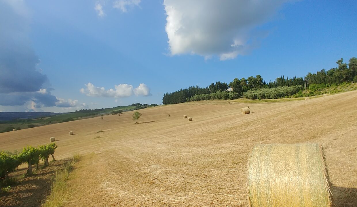 20200530_173610