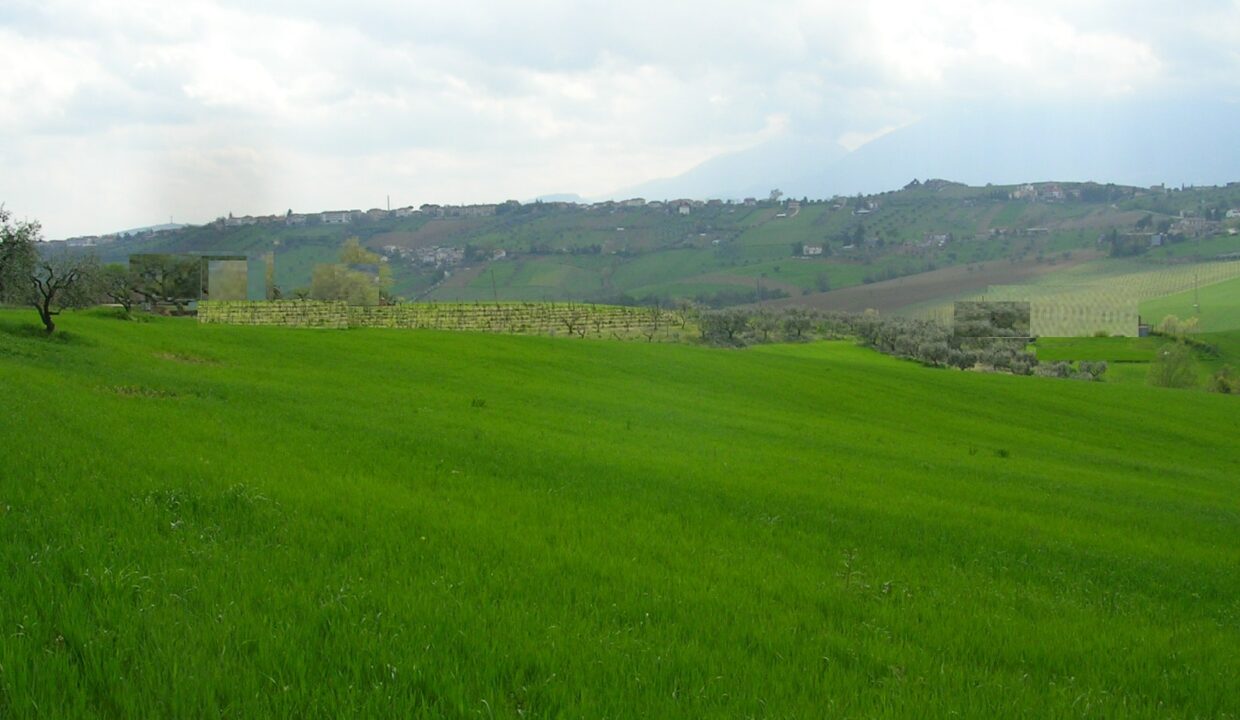 CAMPAGNA 3