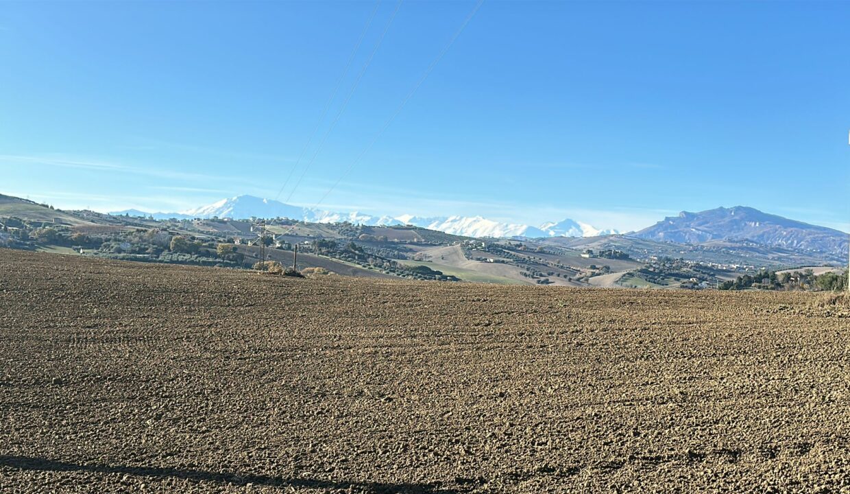 Immagine WhatsApp 2025-11-29 ore 19.05.00_4cccaabe
