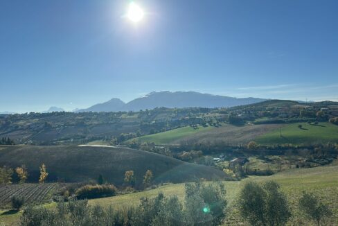 Immagine WhatsApp 2025-11-29 ore 19.05.05_69292bf0