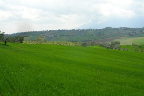 CAMPAGNA 3