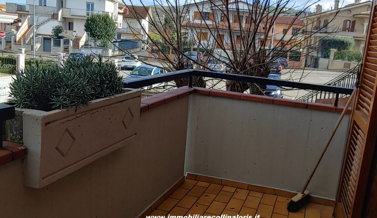 20230119_145152_HDR