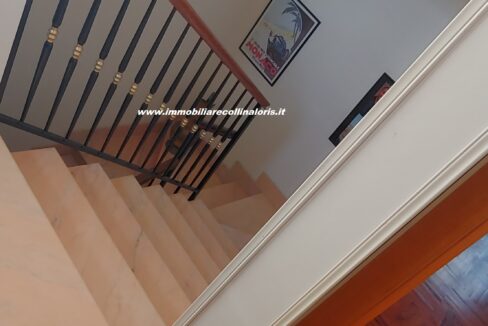 20230119_150053_HDR