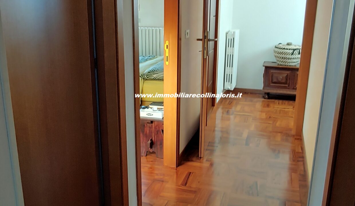 20230119_150303_HDR