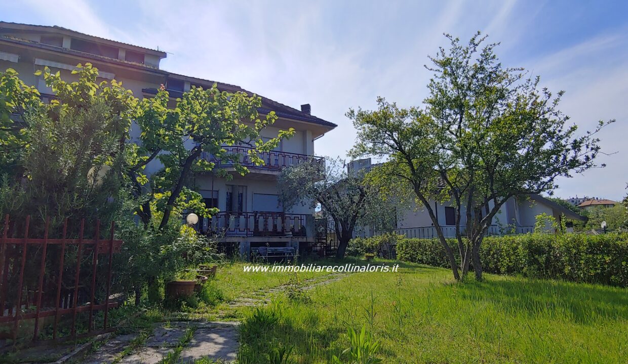 20230505_154646_HDR