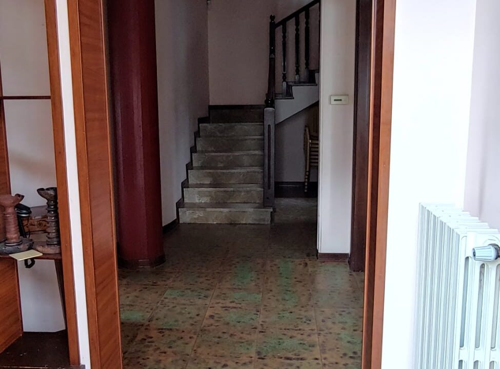 WhatsApp Image 2023-05-19 at 09.34.39 (1)