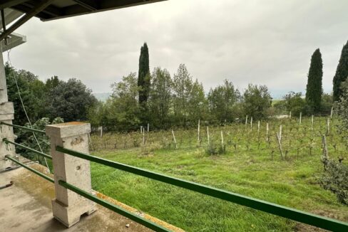 IMG-20241028-WA0078