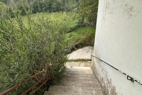 IMG-20241028-WA0031