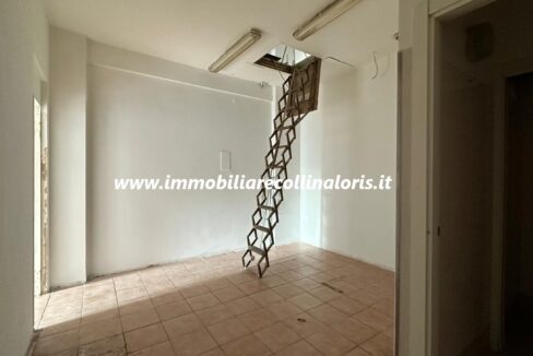 IMG-20250212-WA0028