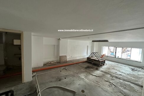 IMG-20250212-WA0026