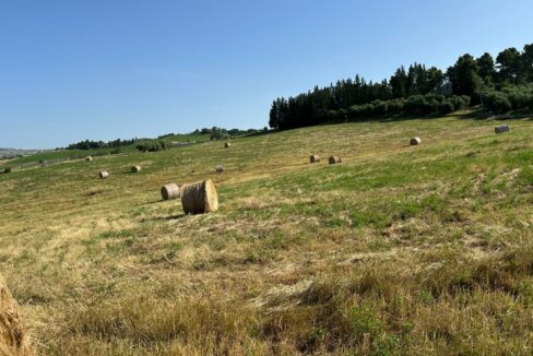 IMG-20250609-WA0031