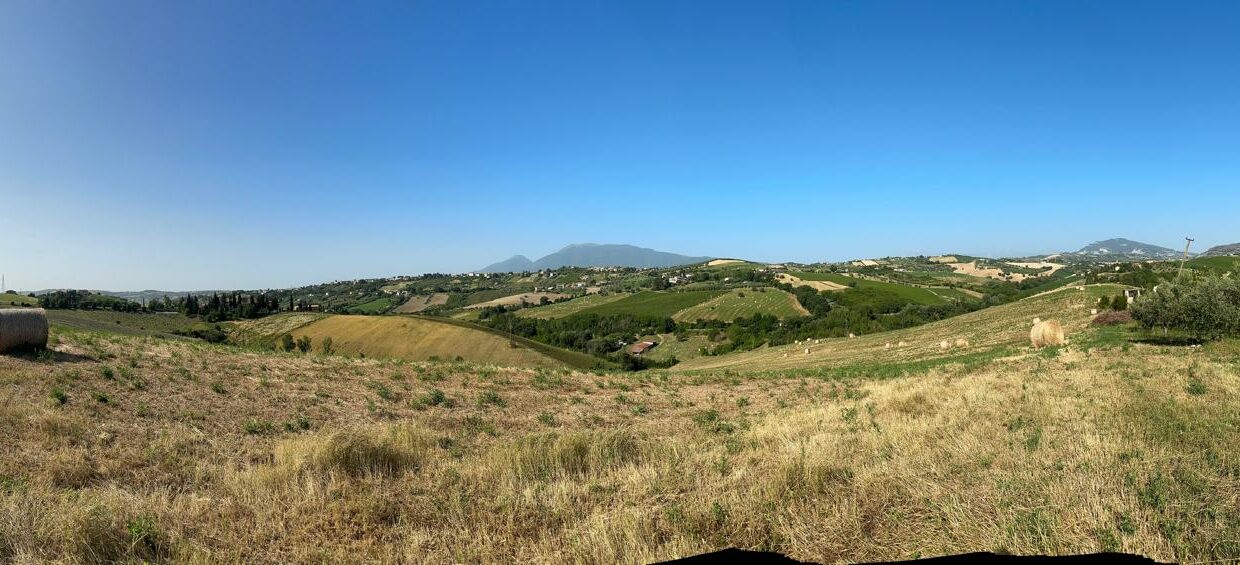 IMG-20250609-WA0079