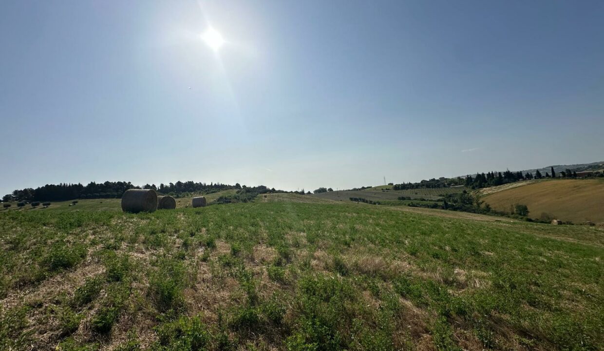 IMG-20250609-WA0085