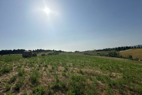 IMG-20250609-WA0085
