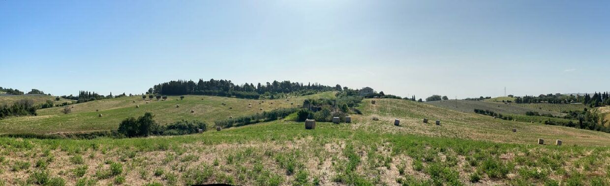 IMG-20250609-WA0084