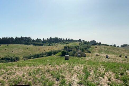 IMG-20250609-WA0084