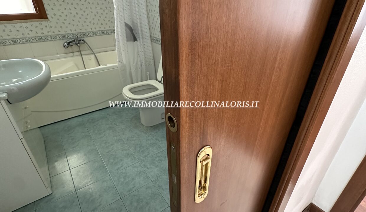 IMG_5139