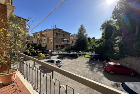 IMG_5149