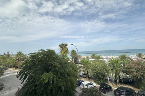 IMG_E6080