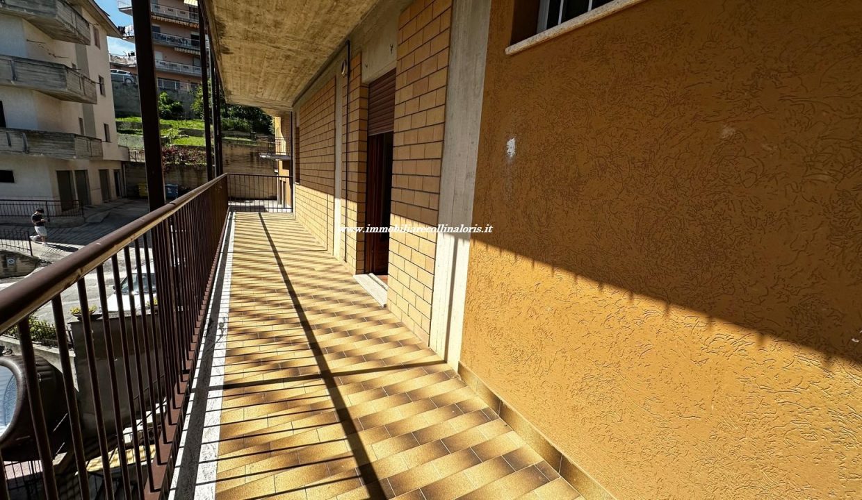 WhatsApp Image 2026-05-25 at 18.47.05 (4)