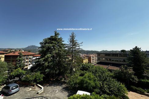 IMG_4050